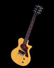 Load image into Gallery viewer, Carneglia Steed