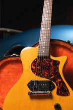 Load image into Gallery viewer, Carneglia Steed