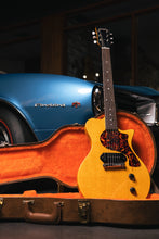 Load image into Gallery viewer, Carneglia Steed