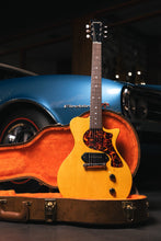 Load image into Gallery viewer, Carneglia Steed