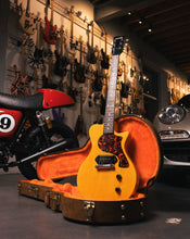 Load image into Gallery viewer, Carneglia Steed