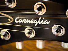 Load image into Gallery viewer, Carneglia Sublime ColorShift