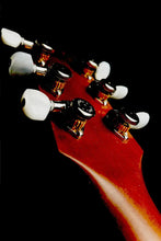 Load image into Gallery viewer, Carneglia Sublime Quilted Top Green Burst