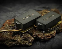 Load image into Gallery viewer, Dingwall Spirit Precision Bass Sets