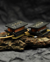 Load image into Gallery viewer, Dingwall Spirit Precision Bass Sets