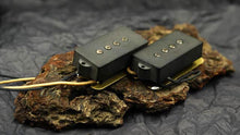 Load image into Gallery viewer, Dingwall Spirit Precision Bass Sets