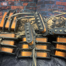 Load image into Gallery viewer, Dingwall Spirit Stratocaster Sets