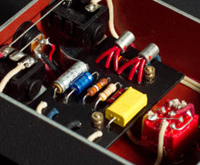 Load image into Gallery viewer, Van Diemans Dasy