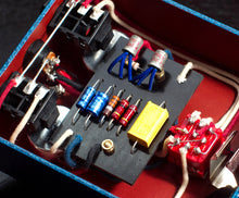 Load image into Gallery viewer, Van Diemans Dasy