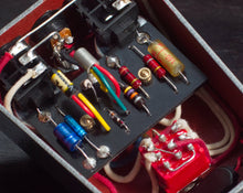 Load image into Gallery viewer, Van Diemans Thylacine