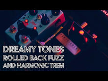 Load and play video in Gallery viewer, Van Diemans Thylacine