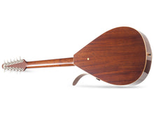Load image into Gallery viewer, Versoul Caspian Acoustic 12 Sitar