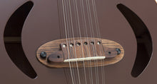 Load image into Gallery viewer, Versoul Caspian Acoustic 12 Sitar