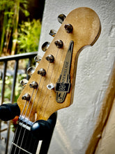 Load image into Gallery viewer, Waterslide S-Style Coodercaster