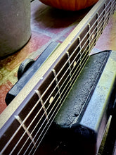 Load image into Gallery viewer, Waterslide S-Style Coodercaster