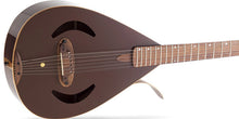 Load image into Gallery viewer, Versoul Caspian Acoustic 12 Sitar