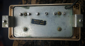 Dingwall Spirit PAF (Humbuckers)