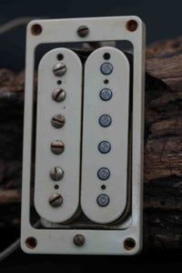 Dingwall Spirit PAF (Humbuckers)