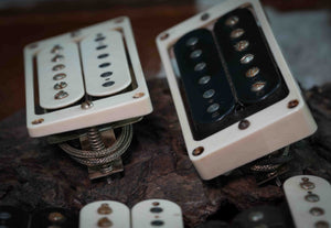 Dingwall Spirit PAF (Humbuckers)