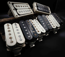 Load image into Gallery viewer, Dingwall Spirit PAF (Humbuckers)
