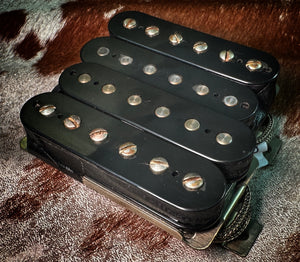 Dingwall Spirit PAF (Humbuckers)