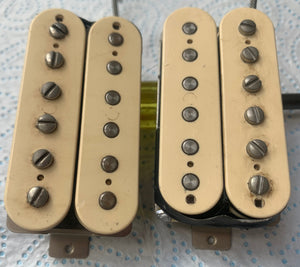 Dingwall Spirit PAF (Humbuckers)