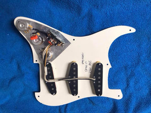 Dingwall Spirit Pre-Wired Pickguards