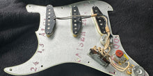 Load image into Gallery viewer, Dingwall Spirit Pre-Wired Pickguards
