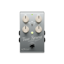 Load image into Gallery viewer, Source Audio True Spring
