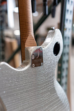 Load image into Gallery viewer, Iconic Carlsbad, Silver Sparkle
