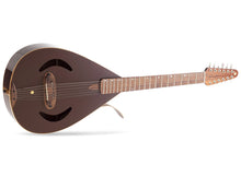 Load image into Gallery viewer, Versoul Caspian Acoustic 12 Sitar
