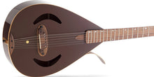 Load image into Gallery viewer, Versoul Caspian Acoustic 12 Sitar
